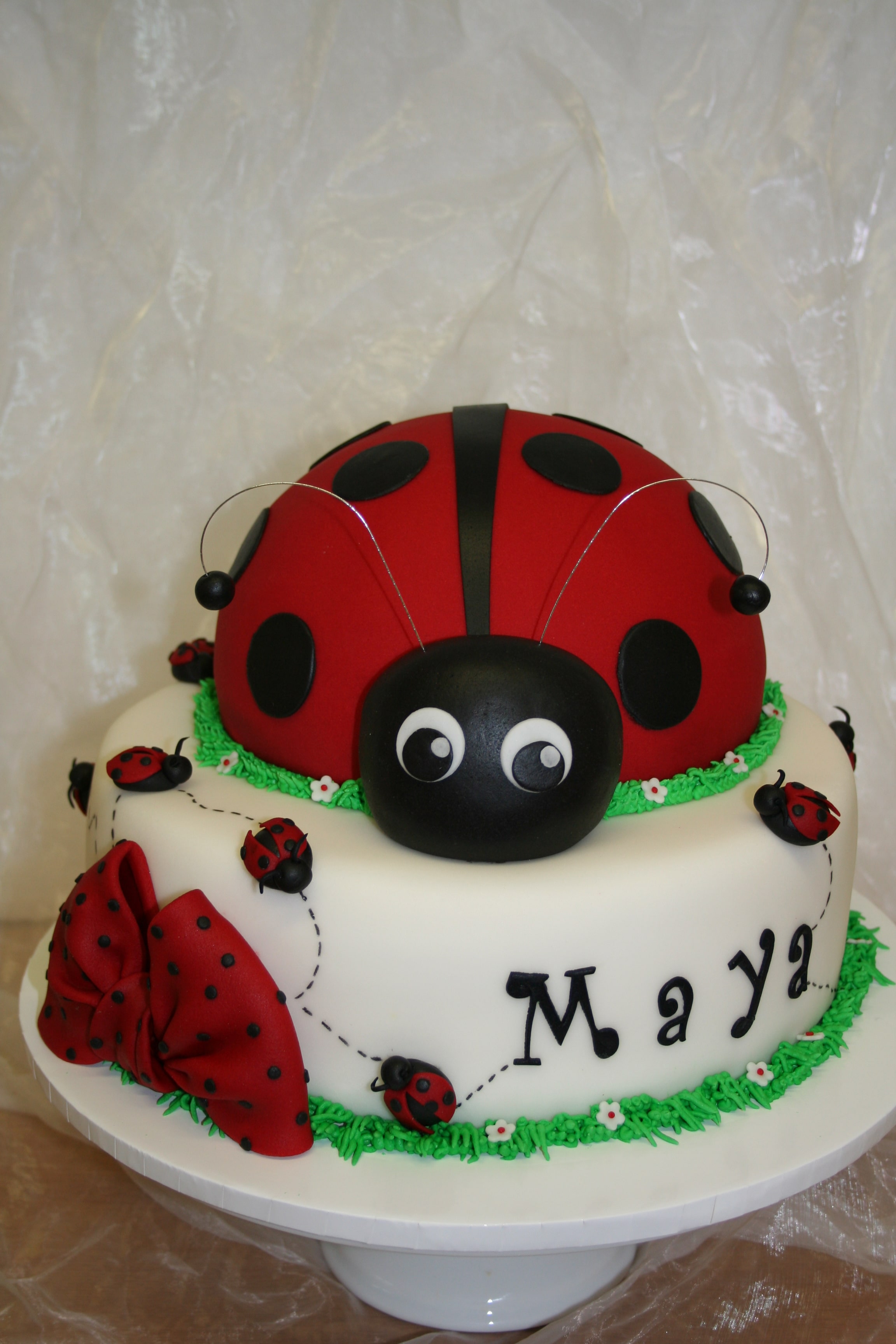 Marienkäfer-Torte Maya